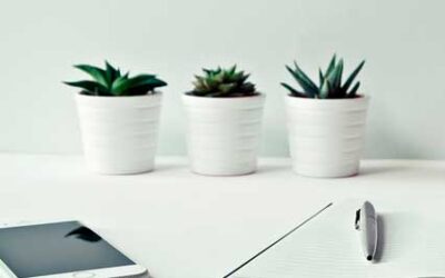 Curiosidades digitales