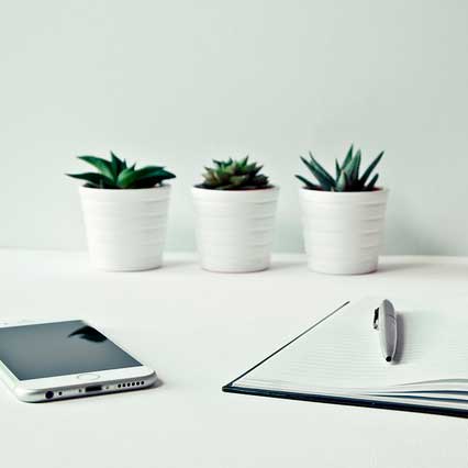 Curiosidades digitales